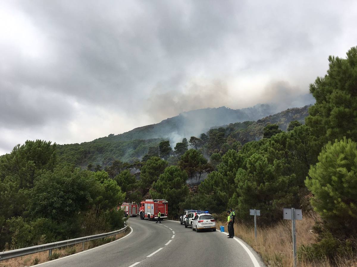 El fuego se inició este mediodía en la carretera A-397 que une San Pedro con Ronda