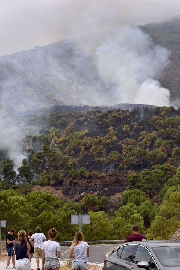 El fuego se inició en la carretera A-397 que une San Pedro con Ronda