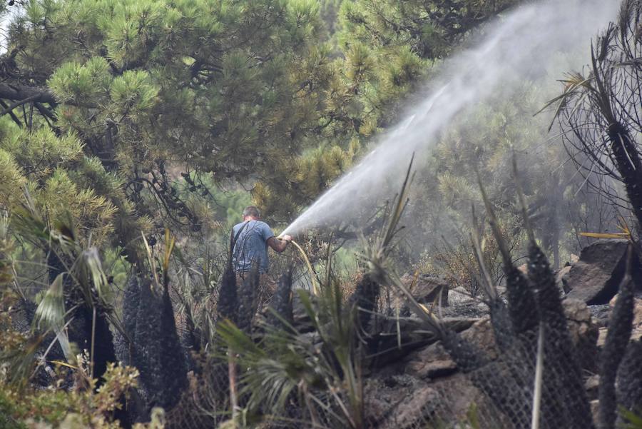 El fuego se inició en la carretera A-397 que une San Pedro con Ronda