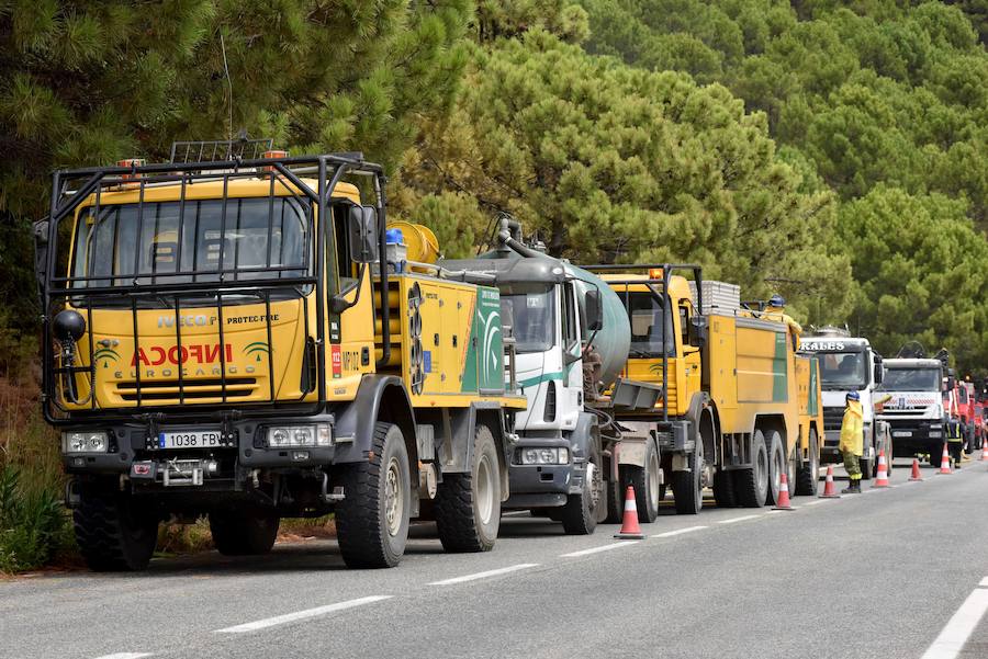 El fuego se inició en la carretera A-397 que une San Pedro con Ronda