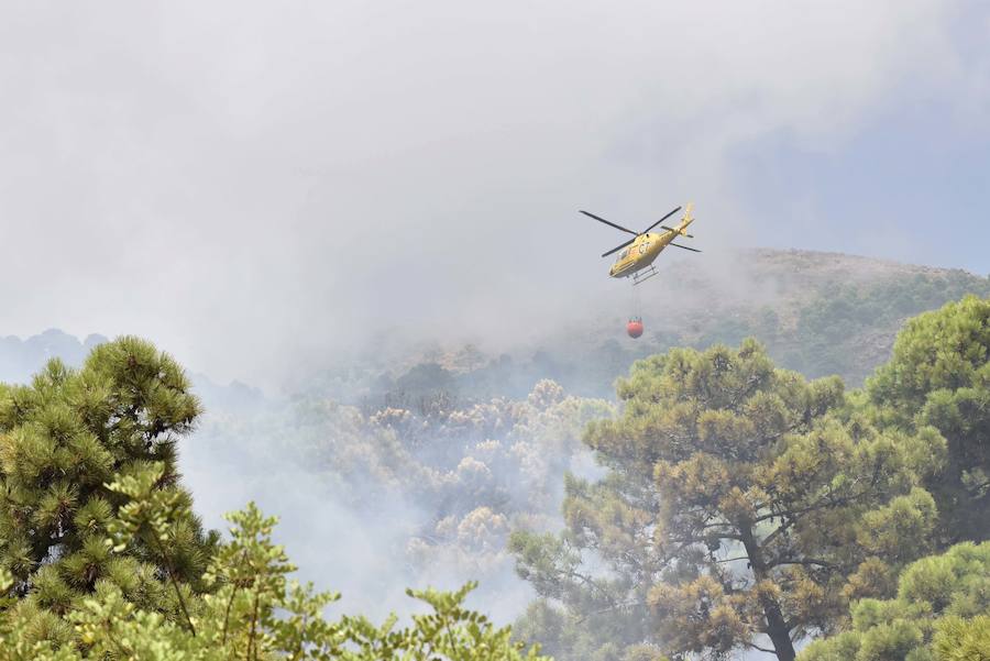 El fuego se inició en la carretera A-397 que une San Pedro con Ronda