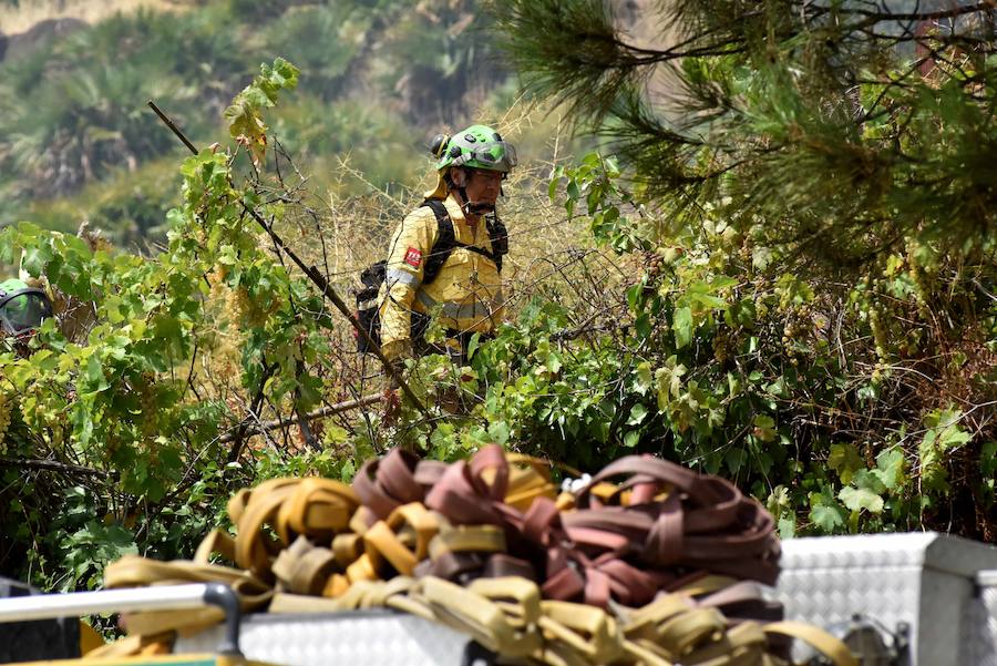 El fuego se inició en la carretera A-397 que une San Pedro con Ronda