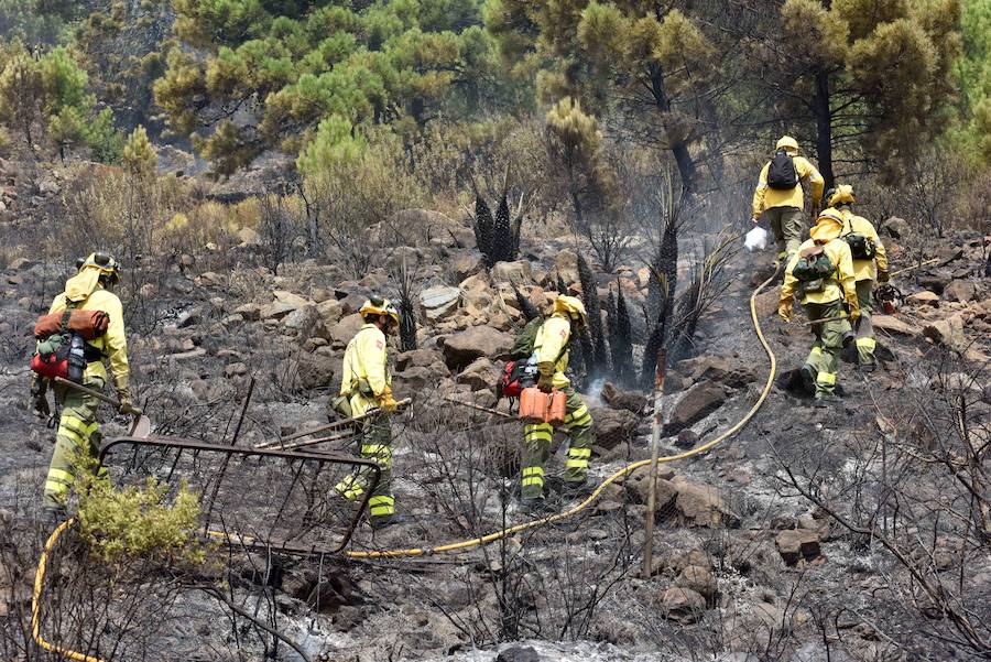 El fuego se inició en la carretera A-397 que une San Pedro con Ronda