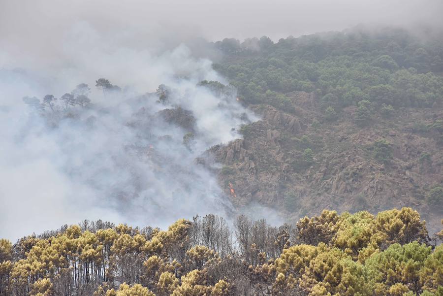 El fuego se inició en la carretera A-397 que une San Pedro con Ronda