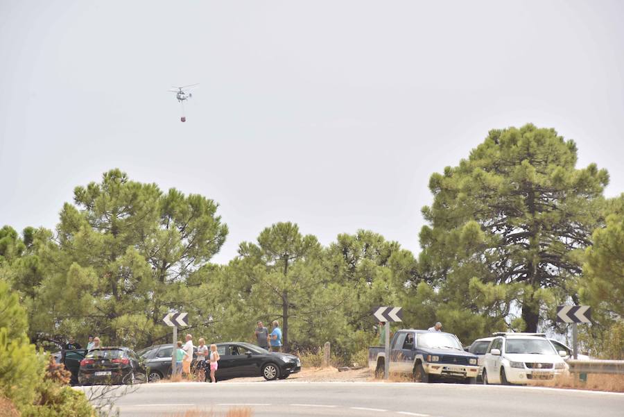 El fuego se inició en la carretera A-397 que une San Pedro con Ronda