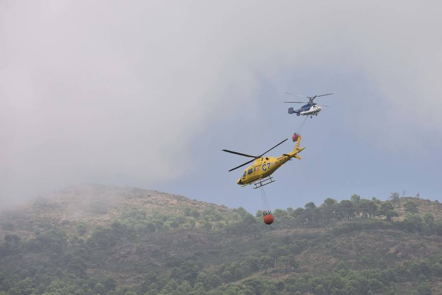 El fuego se inició en la carretera A-397 que une San Pedro con Ronda