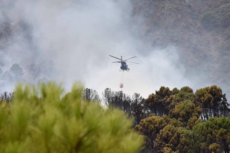 El fuego se inició en la carretera A-397 que une San Pedro con Ronda