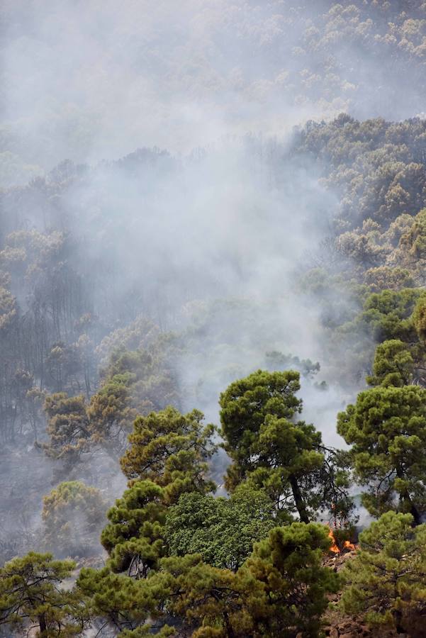 El fuego se inició en la carretera A-397 que une San Pedro con Ronda