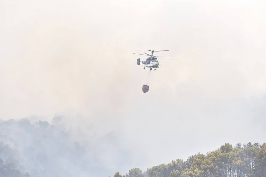 El fuego se inició en la carretera A-397 que une San Pedro con Ronda