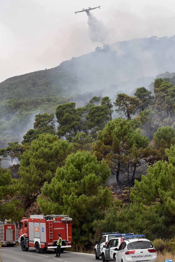 El fuego se inició en la carretera A-397 que une San Pedro con Ronda