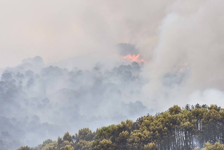 El fuego se inició en la carretera A-397 que une San Pedro con Ronda