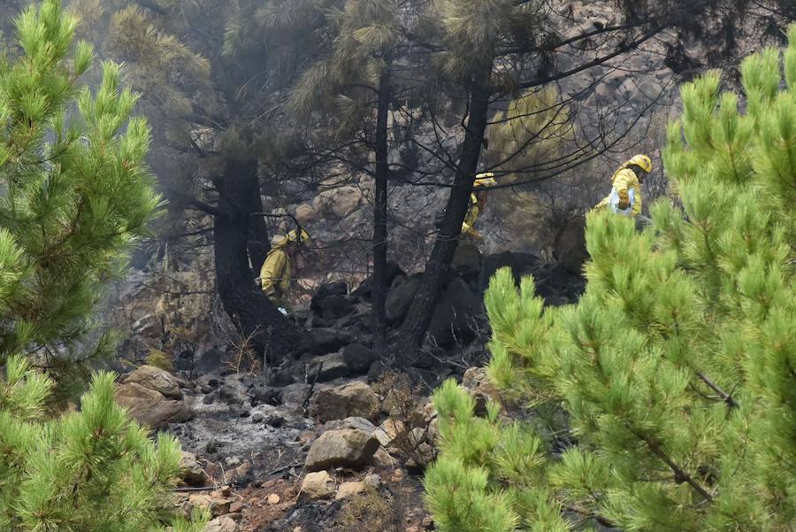 El fuego se inició en la carretera A-397 que une San Pedro con Ronda