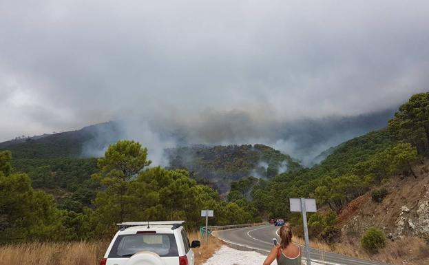 Controlado el incendio forestal declarado en Benahavís