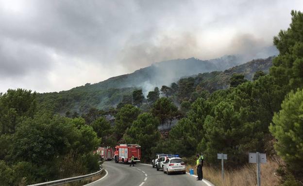 Columa de humo del fuego del domingo en Benahavís. 