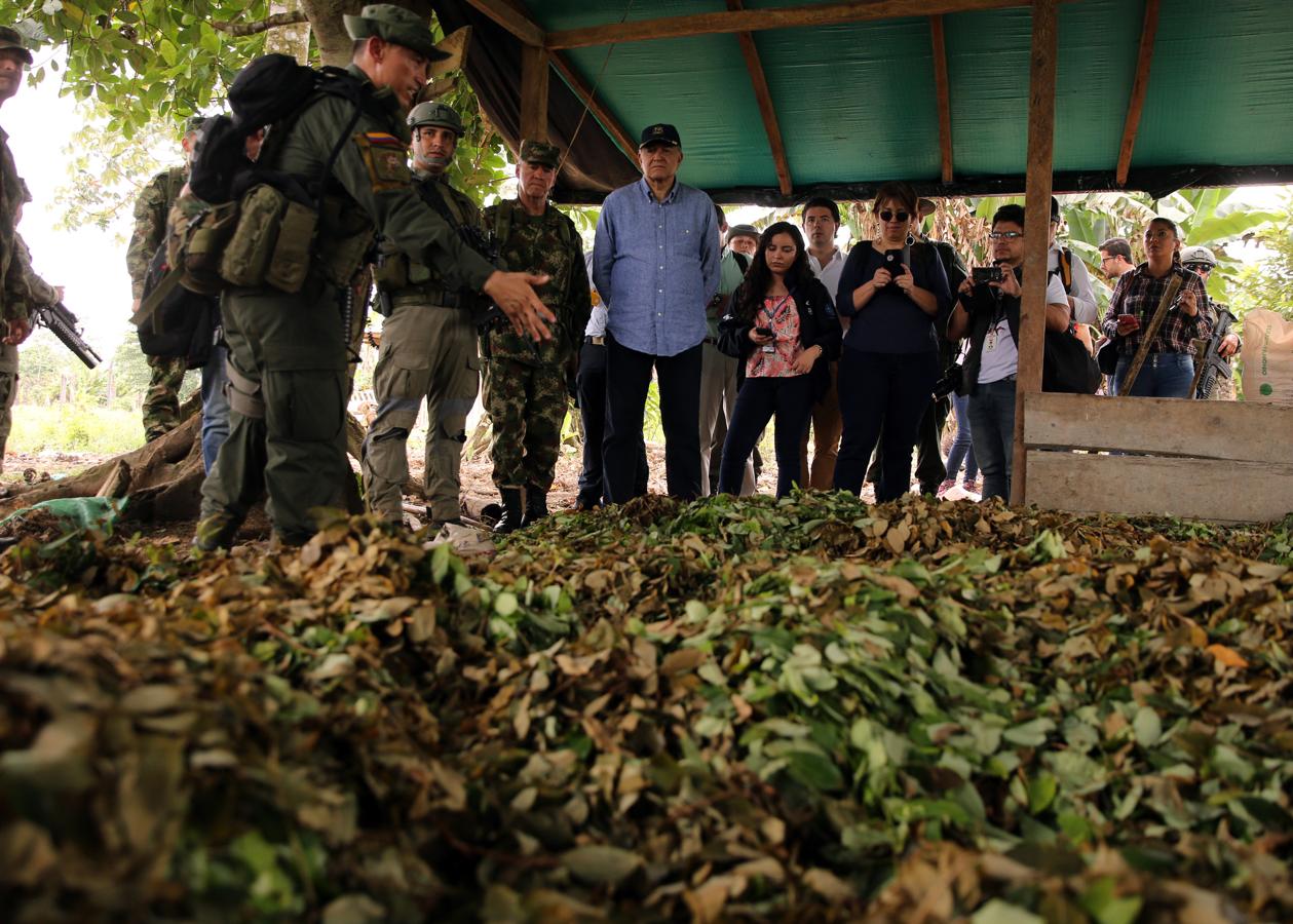 Una imagen que muestra la erradicación de las plantaciones de cultivos de coca y la revisión de que se estén aplicando adecuadamente las medidas de seguridad necesarias. El Vicepresidente colombiano, Óscar Naranjo, fue el encargado de suprevisar los terrenos ante el grave problema común que se produce en Colombia. 