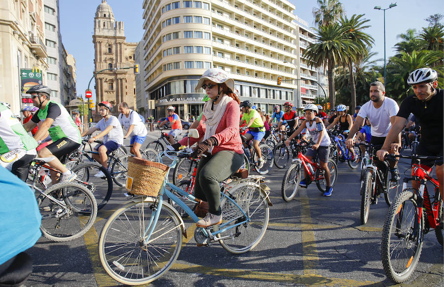 Más de 15.000 ciclistas han tomado esta mañana las calles de la ciudad en una actividad enmarcada en la Semana de la Movilida