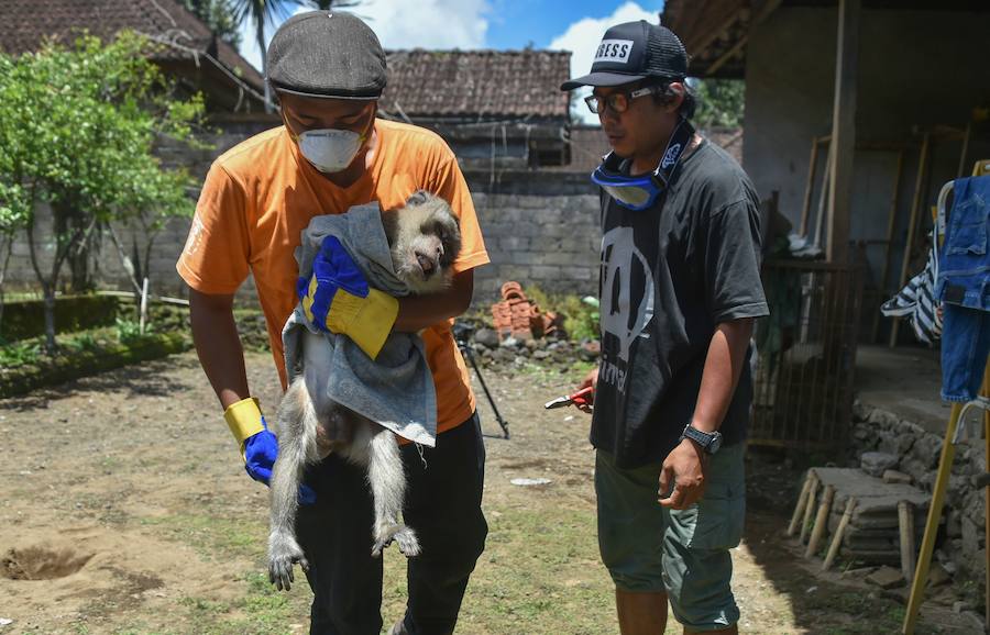 Más de 120.000 personas evacúan la región en torno al Monte Agung por amenzada en nivel máximo de erupción desde la semana pasada. 