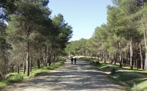 Este itinerario discurre por un carril ancho.