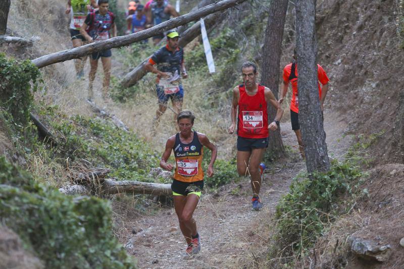 Más de 600 personas toman parte en la prueba, celebrada en Los Montes