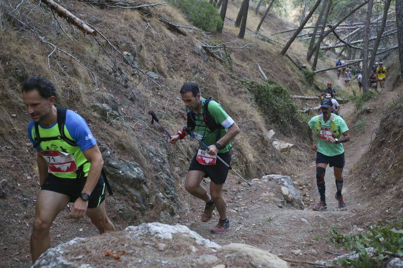 Más de 600 personas toman parte en la prueba, celebrada en Los Montes