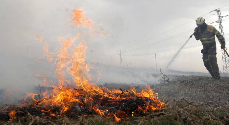 Unos 350 brigadas, 220 motobombas, cuarenta palas y una veintena de medios aéreos trabajan en la comunidad gallega para combatir los incendios que arrasan más de 4.000 hectáreas en 146 nuevos focos desde el viernes