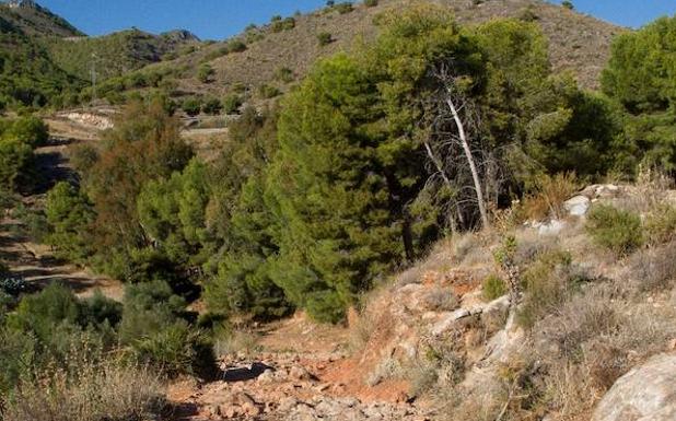 Calzada romana en La Coladilla. 