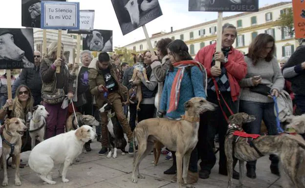 Propietarios con sus perros en una concentración en Málaga.