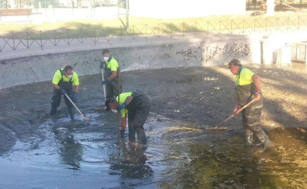 Operarios trabajando ayer tras el vaciado del estanque del parque de Huelin.