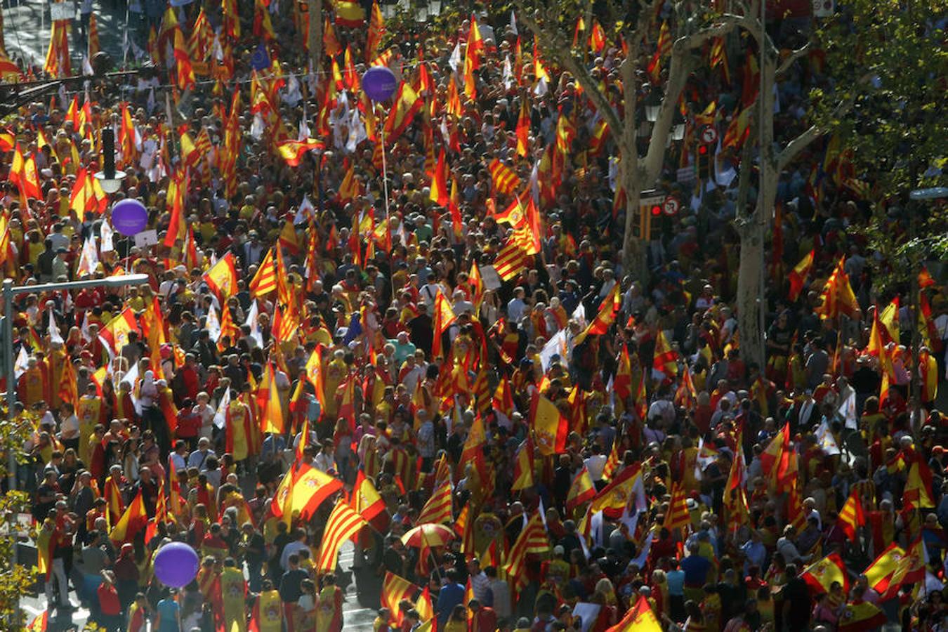 La marcha convocada por Societat Civil Catalana bajo el lema 'Tots som Catalunya. Per la convivència, seny!