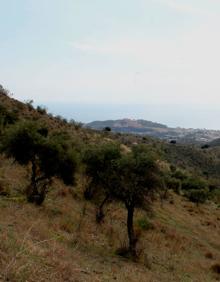 Imagen secundaria 2 - Baliza de madera que confirma el sendero. Torre de Albenda.9. Desde la parte más elevada de la ruta se ve la costa de Rincón de la Victoria.