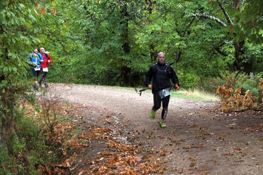 Casi 700 deportistas se dan cita en esta prueba deportiva con salida y meta en Algatocín