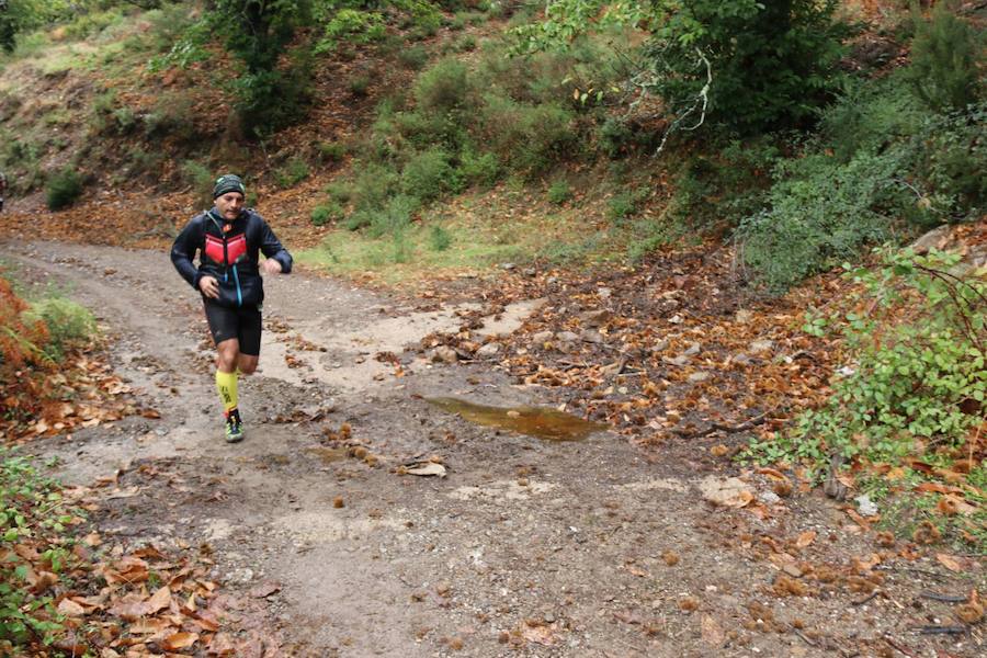 Casi 700 deportistas se dan cita en esta prueba deportiva con salida y meta en Algatocín