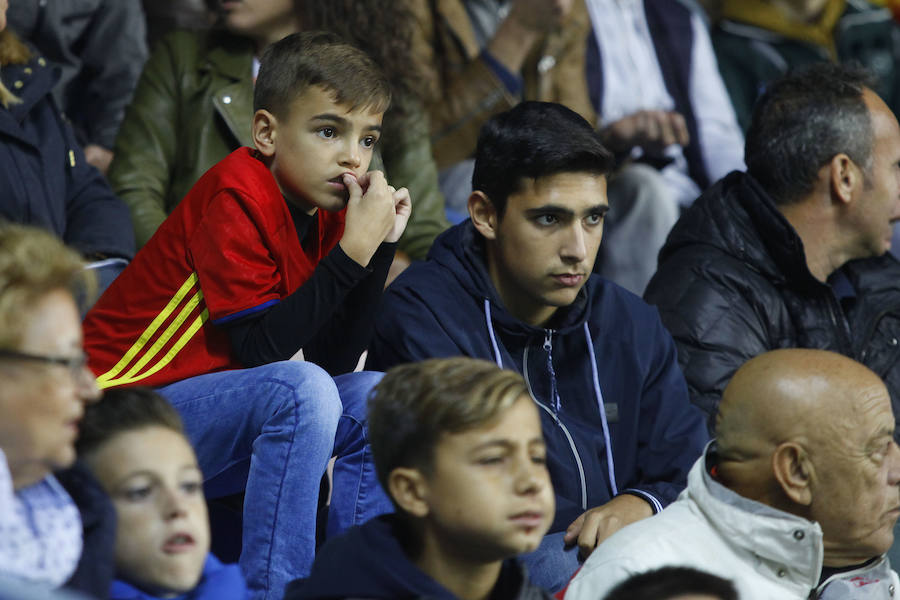 Unas 19.000 personas acudieron a La Rosaleda a presenciar el entrenamiento de la selección española de fútbol.