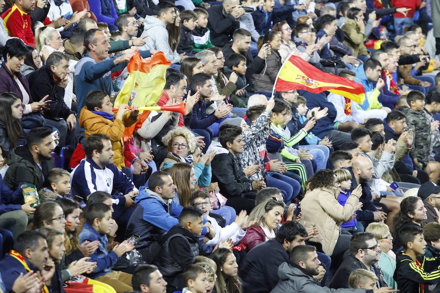 Unas 19.000 personas acudieron a La Rosaleda a presenciar el entrenamiento de la selección española de fútbol.