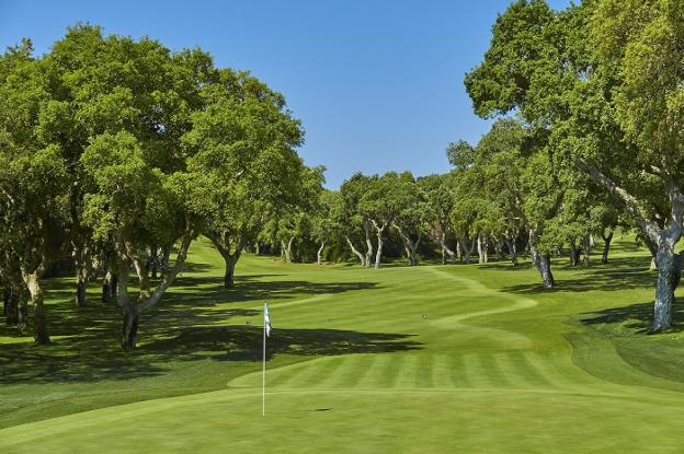 El campo de Valderrama es uno de los mejores del mundo. :: sur