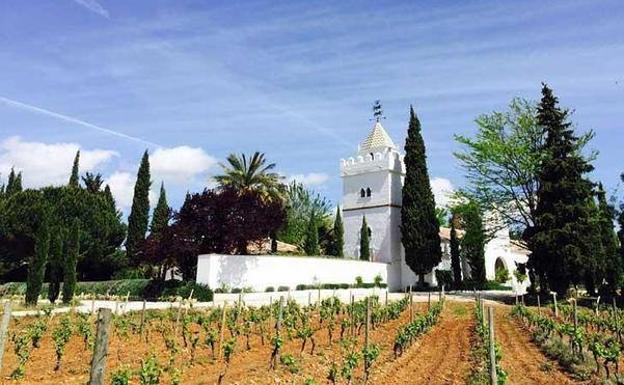 La bodega de Schatz es una de las pioneras de Ronda