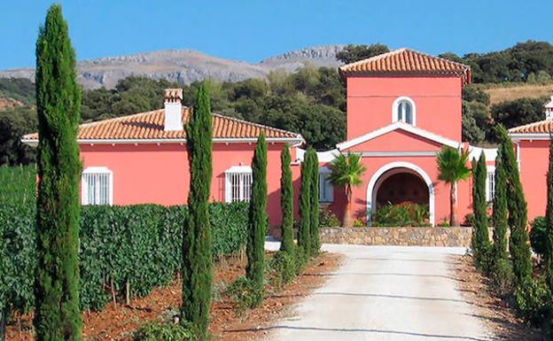 En el camino de Ronda a El Burgo se puede visitar las bodega Conrar.