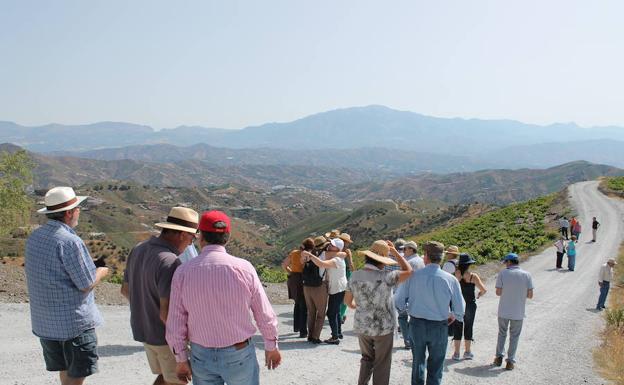 Visitas a los viñedos de Dimobe