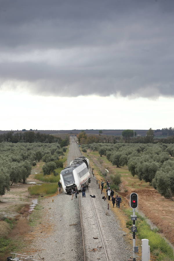 El suceso ocurrido en la provincia sevillana causa una treintena de heridos