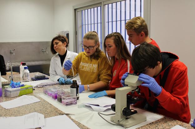 Alumnos de instituto ponen en práctica diferentes experimentos en el laboratorio. :: P.pineda