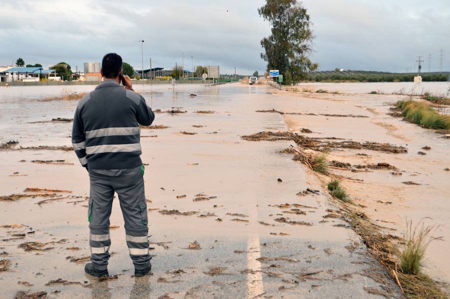 El suceso, por las fuertes lluvias, se ha producido cerca de un tramo cortado por las lluvias entre Arahal y El Sorbito, a la altura del kilómetro 19 de la vía