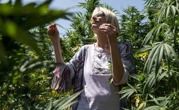 Una turista camina por un campo de cannabis en Marruecos. 