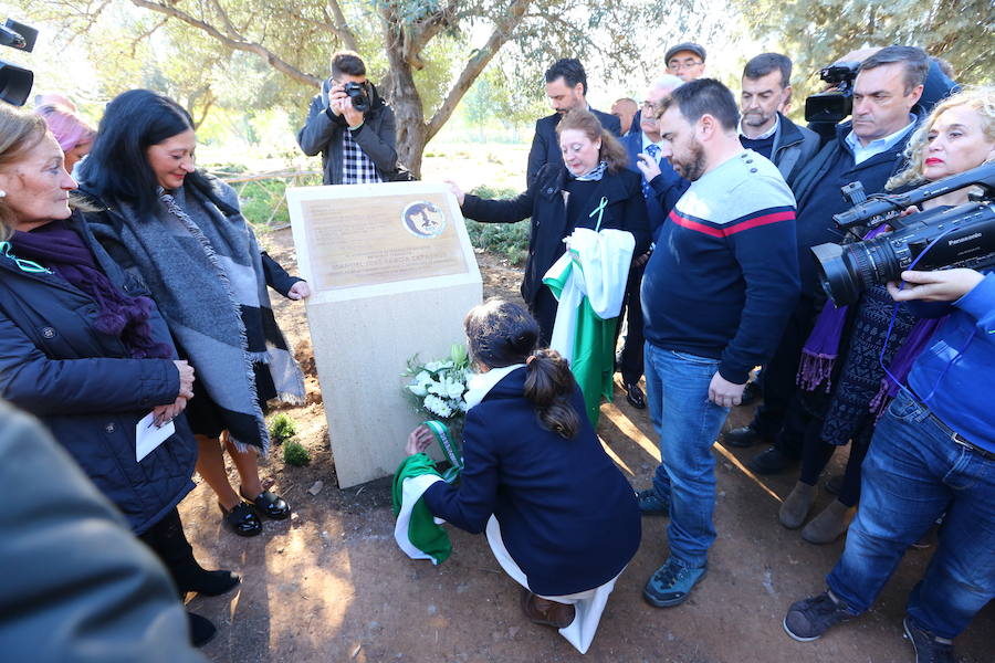 Málaga recuerda hoy la figura del joven de 18 años que murió de un disparo en la manifestación del 4 de diciembre de 1977 para reclamar una autonomía plena para Andalucía