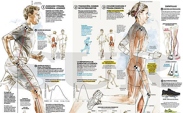 Gráfico. Cómo realizar una zancada correcta. 