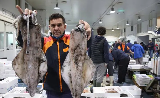 Calamar. Este es otro de los productos reyes que predominan en los puestos de pescados y mariscos de Mercamálaga. Su precio varía según el tamaño, aunque se mueven entre los 10 y 15 euros el kilo en la actualidad, precio mayorista.