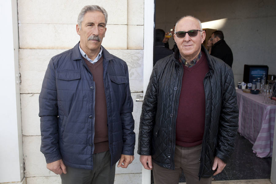 Expertos destacan que la producción de aceite de oliva se multiplica y el Puerto de Málaga será clave para su exportación