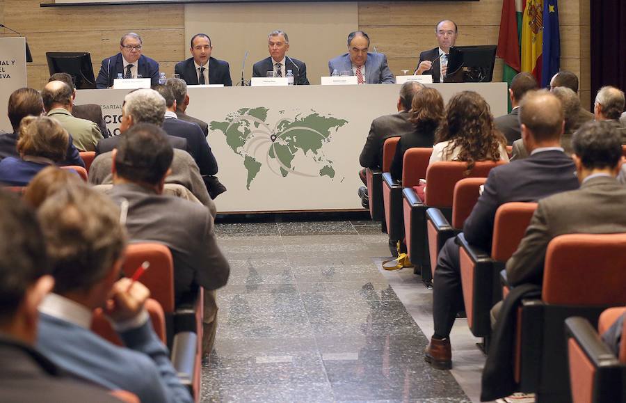 Expertos destacan que la producción de aceite de oliva se multiplica y el Puerto de Málaga será clave para su exportación