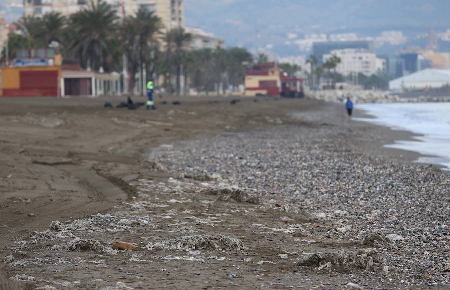 Las playas de la Misericordia llevan dos días mostrando su peor cara, anegadas de toallitas y basuras, que se esparcen por toda la zona de arena. Pequeñas montañas de residuos, que esta mañana estaban limpiando los operarios de Limasa.