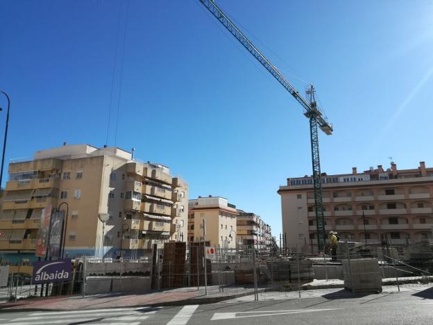 La imagen de las grúas en Las Lagunas no se producía desde hacía al menos diez años. :: i. gelibter