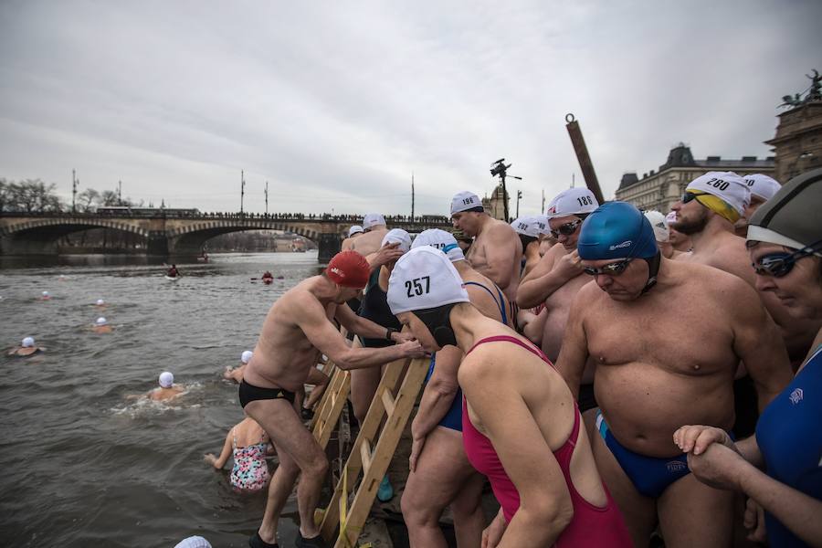 Varios bañistas desafiaron las gélidas temperaturas para participar en la 71 edición de la tradicional carrera Alfred Nikodem que se desarrolla en las frías aguas del río Moldava en su paso por Praga.